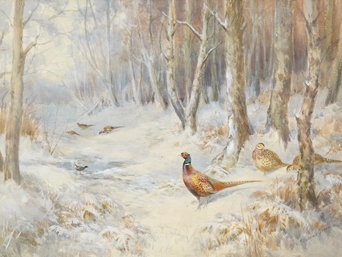 Roland Green (1896-1972), heightened watercolour, Pheasants and bird in woodland, signed, 37 x 50cm. Condition - fair to good